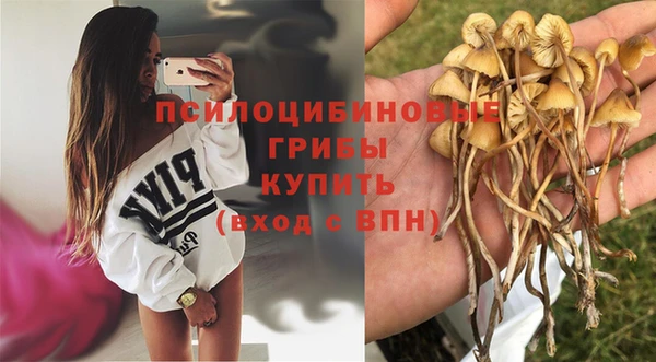 прущие крисы Наволоки