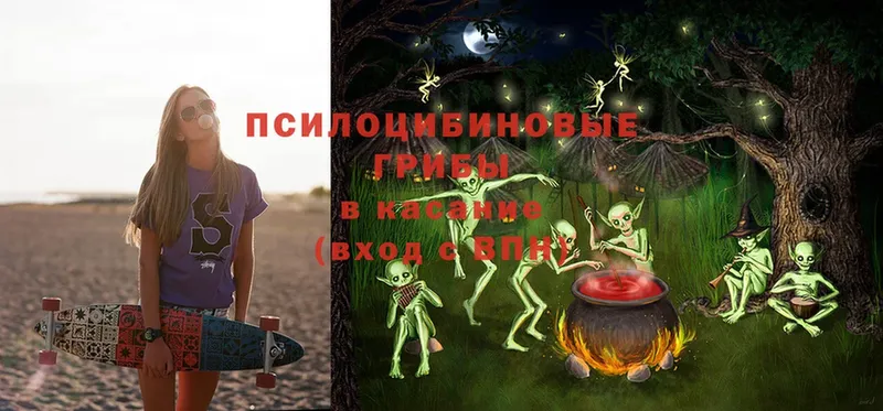 Галлюциногенные грибы прущие грибы  Алатырь 