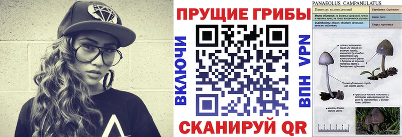 blacksprut как войти  Алатырь  Галлюциногенные грибы Cubensis  shop формула  даркнет сайт 