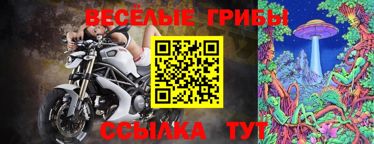 Галлюциногенные грибы GOLDEN TEACHER Алатырь