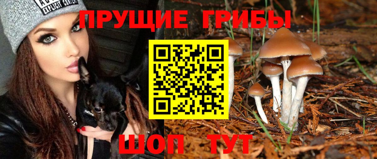 Галлюциногенные грибы Magic Shrooms  Псилоцибиновые грибы мухоморы  Алатырь 