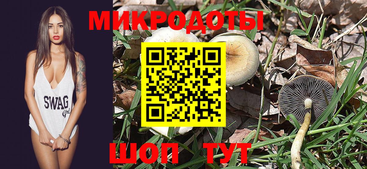 Псилоцибиновые грибы Psilocybine cubensis  Вход с VPN  Алатырь 